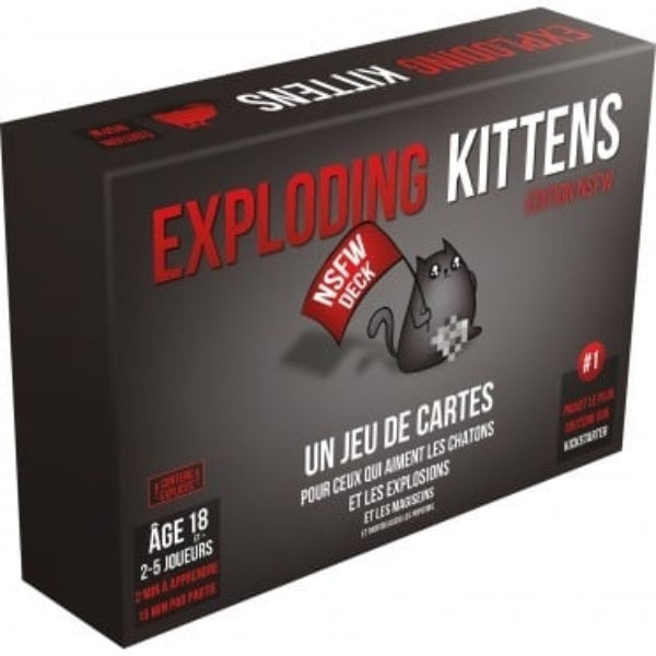 Image du jeu Exploding Kittens : NSFW Edition