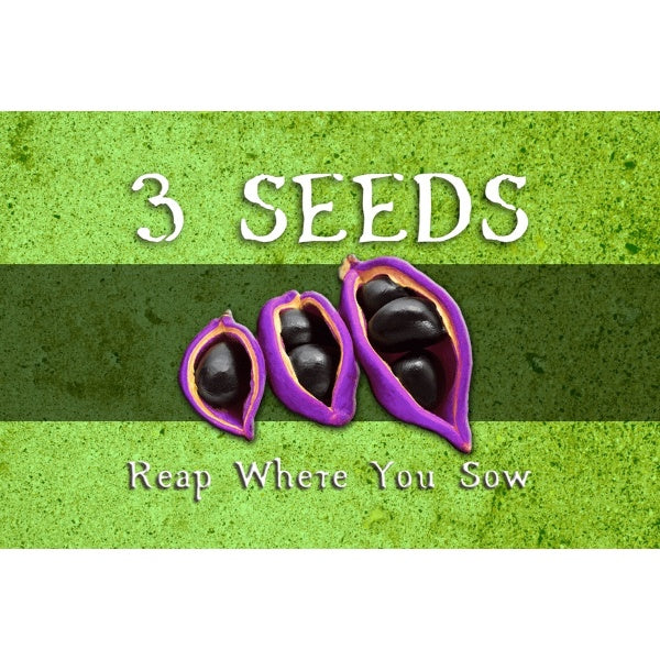 Image du jeu 3 Seeds: Reap Where You Sow