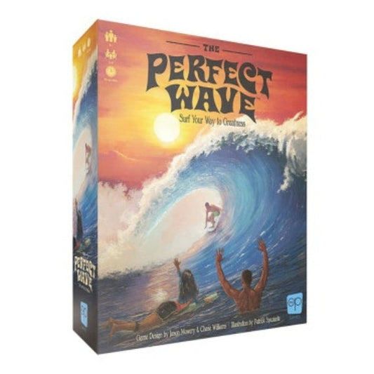 Image du jeu The Perfect Wave