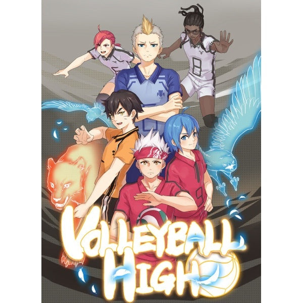 Image du jeu Volleyball High